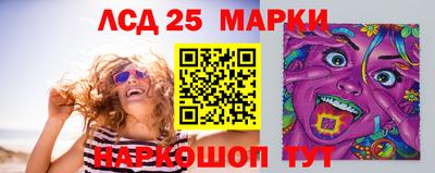 прущие грибы Можга