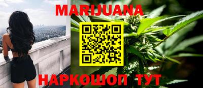 прущие грибы Можга